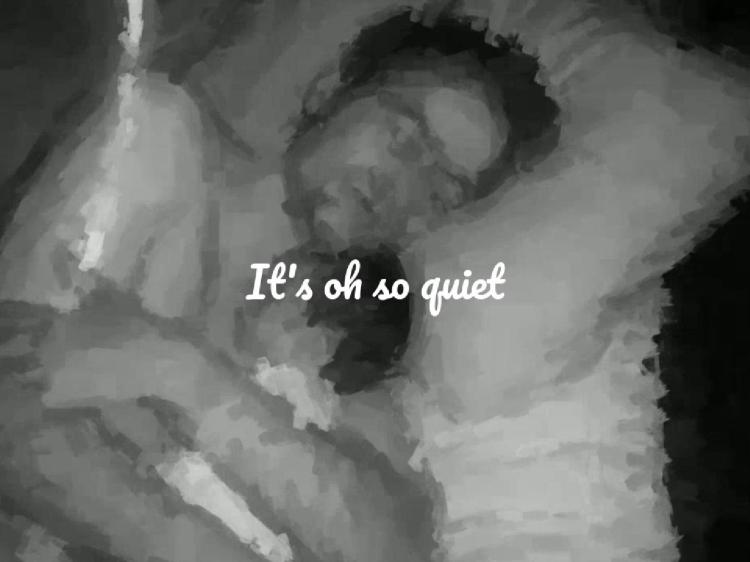 It&rsquo;s oh so&nbsp;quiet